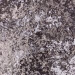 Panther Granite Fabric Flat Image