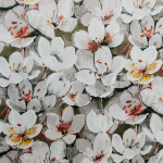 Tulipa Spring Pearl Fabric Flat Image