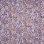 Made To Measure Roman Blind Dynamic Berry