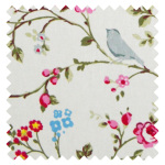 Birdtrail Grey