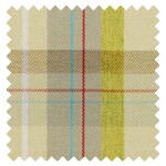 Cairngorm Moss