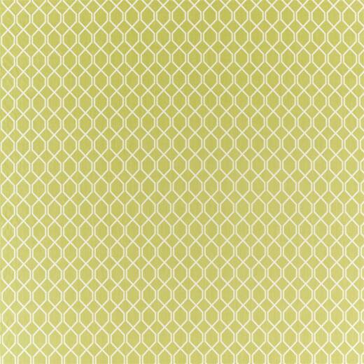 Made To Measure Roman Blinds Botanical Trellis Lime