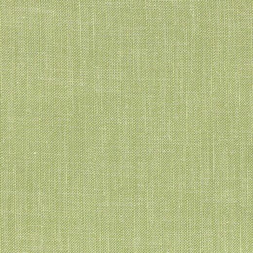 Kingsley Grass Fabric