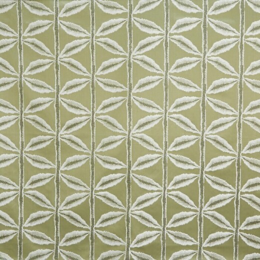 Palm Olive Fabric