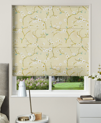 Made To Measure Roman Blind Emi Eau De Nil