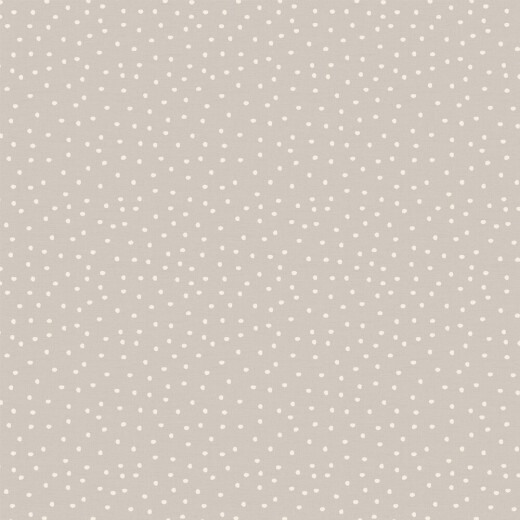 Roman Blind Spotty Flint