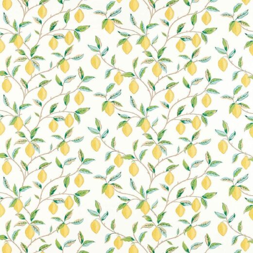 Made To Measure Roman Blinds Lemon Tree Lemon/Bayleaf