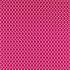 Botanical Trellis Rhodera Fabric by Sanderson