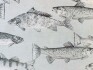 Image of aquarius frost by Voyage