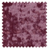 Crush Velvet Rose