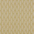 Image of Fernia mustard by iLiv