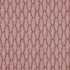 Image of Fernia rosa by iLiv