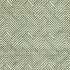 Grassetto Peacock Fabric by Clarke And Clarke