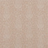 Kandahar Parchment Fabric by Bill Beaumont