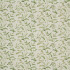 Image of Oasis spruce by iLiv