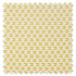 Swatch of Pajaro Dandelion by Scion