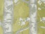 Image of windermere lemongrass by Voyage