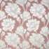 Made To Measure Curtains Amelia Ash Rose Flat Image