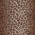 Made To Measure Roman Blinds Leopard Panthera Flat Image