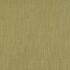 Made To Measure Curtains Monza Pampas Flat Image
