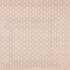Little Bud Blush Fabric by iLiv