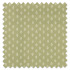 Swatch of Little Bud Fennel