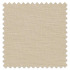 Swatch of Mineral Champagne