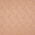 Bailey Shell Fabric by Prestigious Textiles