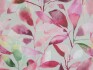 Image of brympton raspberry by Voyage