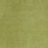 Camina Moss Fabric by iLiv