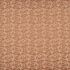 Caravelle Papaya Fabric by iLiv