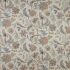 Chanterelle Cameo Fabric by iLiv