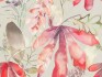 Image of conifer red nut by Voyage