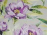 Image of earnley orchid by Voyage