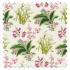 Swatch of Enys Garden Rose/Leaf