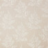 Image of haldon putty by iLiv
