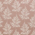 Image of haldon wildrose by iLiv