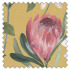 Swatch of Havana Ochre by Belfield Home