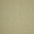 Image of Hindi pistachio by iLiv