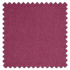 Swatch of Ilaria Begonia by iLiv