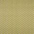 Indo Pistachio Fabric by iLiv