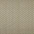 Indo Quince Fabric by iLiv