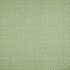 Jaal Sage Fabric by iLiv