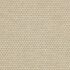 Kensal Quince Fabric by iLiv