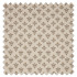 Swatch of Kochi Limestone