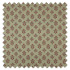 Swatch of Kochi Thyme