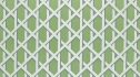 Image of lattice kiwi by Ashley Wilde