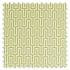 Swatch of Linnean Lime