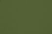 Image of omari grass by Ashley Wilde