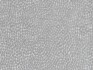 Image of pebble dove by Voyage
